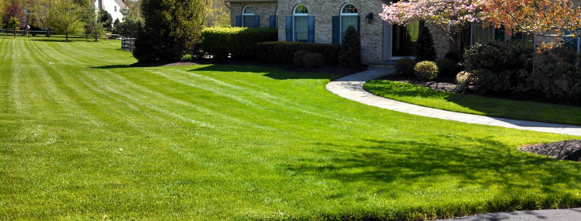 We'll give you the lawn<br />
of your dreams